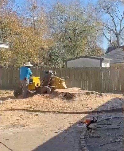 Stump grinding equipment at work in a backyard